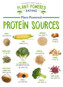 Plant-Powered Nutrients - Ancient Harvest