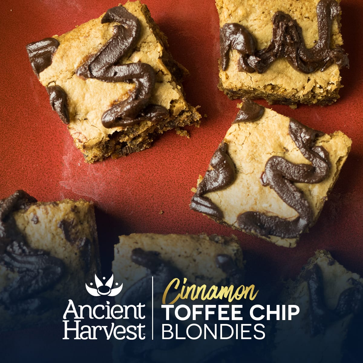 Cinnamon Toffee Chip Blondies Ancient Harvest
