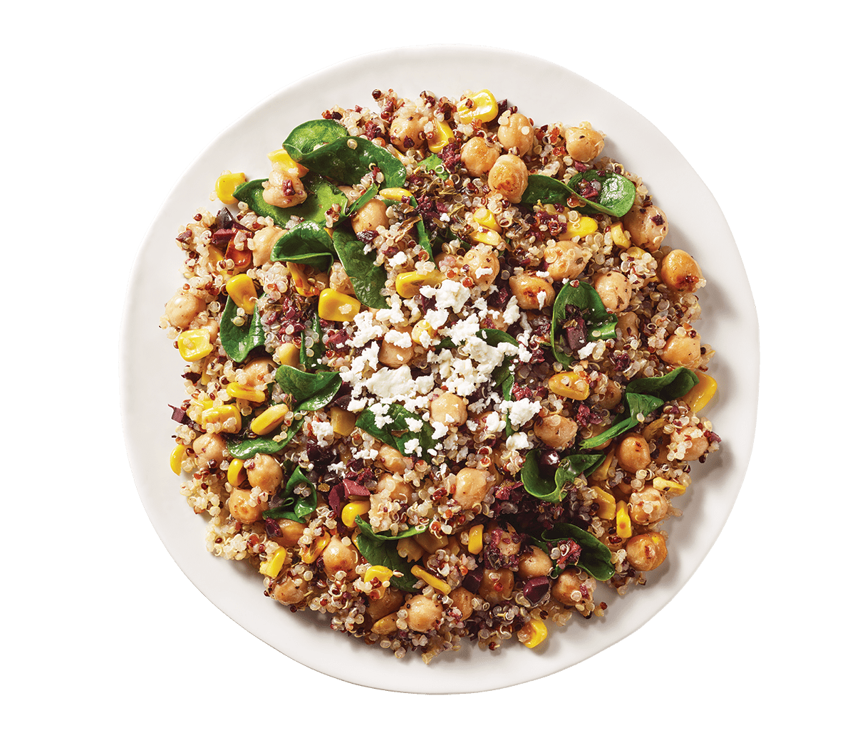Is Quinoa Gluten Free? + how to cook quinoa